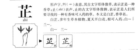 芷 五行|芷字的五行属什么